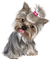 Kaz_Creations Dogs Dog Pup 🐶Colours - ingyenes png animált GIF