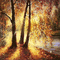 kikkapink autumn background magic gif - Бесплатный анимированный гифка анимированный гифка
