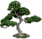 Baum - Free PNG Animated GIF