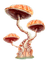 mushroom  by nataliplus - gratis png geanimeerde GIF