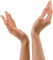 Dłonie devo - nemokama png animuotas GIF