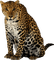 leopard milla1959 - безплатен png анимиран GIF