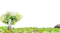 Kaz_Creations Garden Grass  Deco Flowers - ilmainen png animoitu GIF