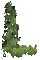 tree,plants - Bezmaksas animēts GIF animēts GIF
