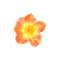 kikkapink deco scrap orange flower - безплатен png анимиран GIF