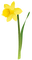 Kaz_Creations Flowers Flower Deco - zdarma png animovaný GIF