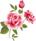Roses dm19 - png gratis GIF animado