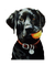 charmille _ chien - darmowe png animowany gif