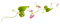 minou-Leaves-löv-blad - Free PNG Animated GIF