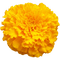 kikkapink deco scrap yellow flower - ilmainen png animoitu GIF