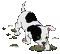 dog - GIF animado gratis GIF animado