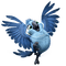oiseau bleu - png gratuito GIF animata