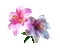 Flower, Flowers, Deco, Decoration, Pink, Animation, Gif - Jitter.Bug.Girl - GIF animé gratuit GIF animé