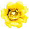 Flower.Yellow.Animated - KittyKatLuv65 - Free animated GIF Animated GIF