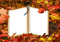 frame-autumn - höst frame
