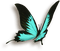 patymirabelle papillon - png gratuito GIF animata