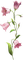 flores campanilla rosa dubravka4 - png gratuito GIF animata