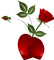 flores*kn* - bezmaksas png animēts GIF
