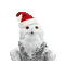 Christmas Owl - Бесплатный анимированный гифка анимированный гифка