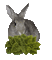 Кролик - Бесплатный анимированный гифка