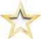 Frame star gold white - gratis png geanimeerde GIF