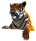 tiger - nemokama png animuotas GIF