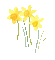 Pâques.fleurs.Easter.flowers.Pascua.Victoriabea - Free animated GIF Animated GIF