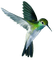Kaz_Creations Birds Bird - gratis png geanimeerde GIF