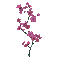 spring blossom - Kostenlose animierte GIFs Animiertes GIF