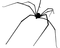 spider - darmowe png animowany gif