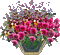 Pot de fleurs - GIF animado gratis GIF animado