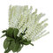 Veronica flowers - GIF animado grátis