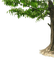 tree - ilmainen png animoitu GIF