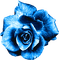 Glitter.Rose.Blue - Free PNG Animated GIF