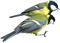birds katrin - zadarmo png animovaný GIF