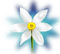 floare 10 - darmowe png animowany gif