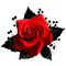 Gothic.Rose.Black.Red - PNG gratuit GIF animé