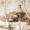 Y.A.M._Winter background Sepia - Bezmaksas animēts GIF animēts GIF