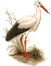 crane birds bp - Бесплатный анимированный гифка анимированный гифка