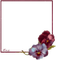 frame with flower - darmowe png animowany gif