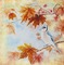 background-autumn-höst - 無料png アニメーションGIF