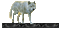 loup blanc - Бесплатный анимированный гифка анимированный гифка