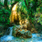 forest  background by nataliplus - PNG gratuit GIF animé