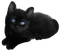 autumn deco kikkapink png black cat - PNG gratuit GIF animé
