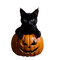 Halloween.cat.pumpkin.transparent.png - PNG gratuit GIF animé