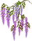 fleurs - png ฟรี GIF แบบเคลื่อนไหว