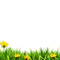 Blue DREAM  70 _ flowers_grass _spring - 無料png アニメーションGIF