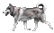 ani-hund-djur - Безплатен анимиран GIF анимиран GIF
