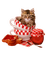 Kaz_Creations Cats Cat Kittens Kitten - Free PNG Animated GIF