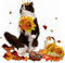 autumn animals by nataliplus - безплатен png анимиран GIF